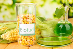 Cargo biofuel availability