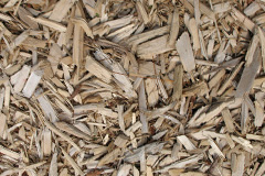biomass boilers Cargo