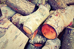 Cargo wood burning boiler costs
